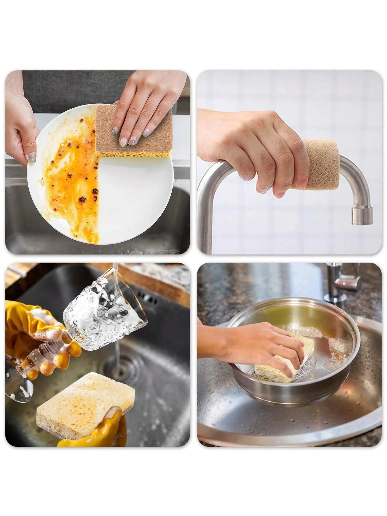 Biodegradable compostable cellulose and coconut scrubbing - WIVAStore