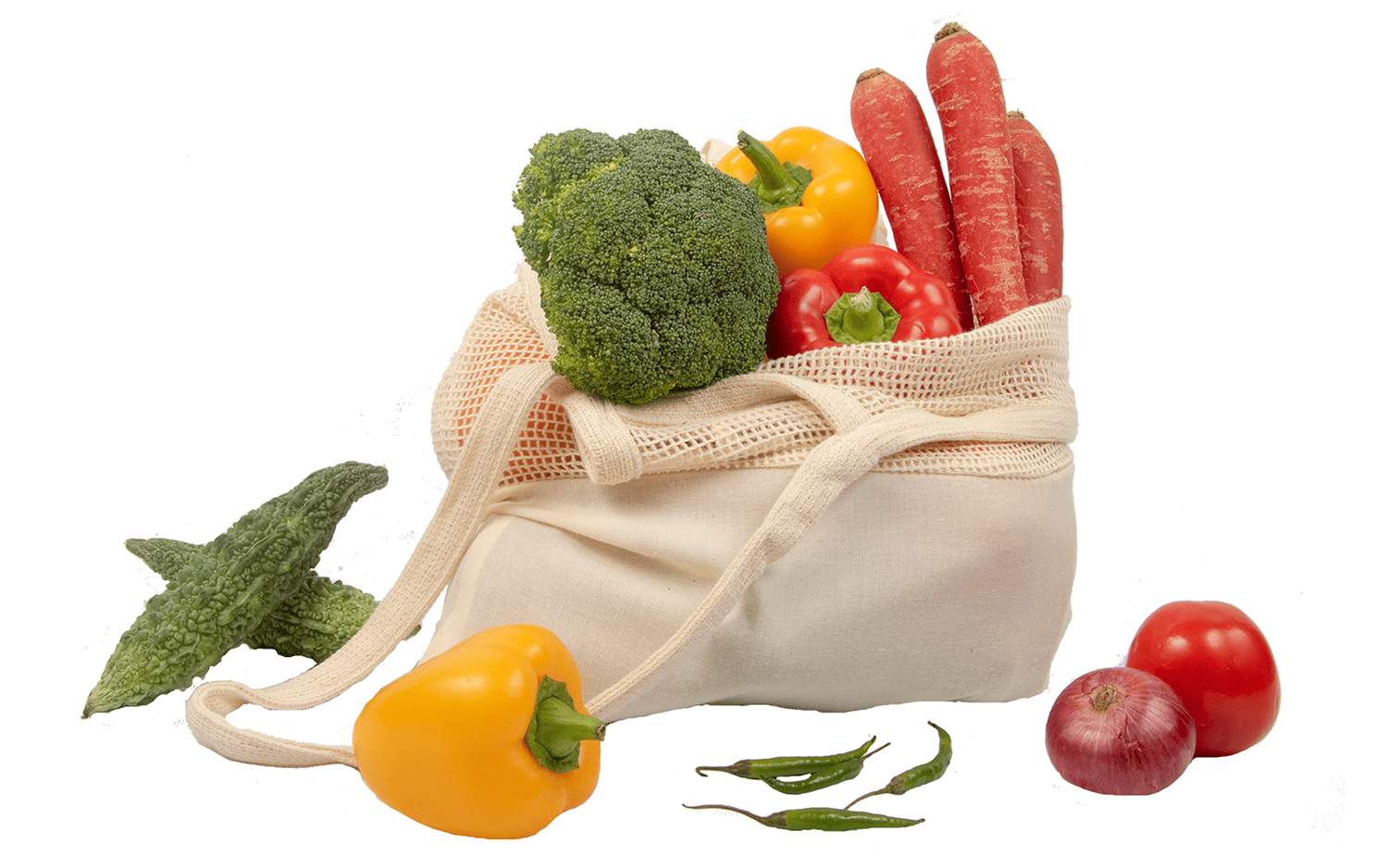 Mesh & Fabric Tote Bag - WIVAStore